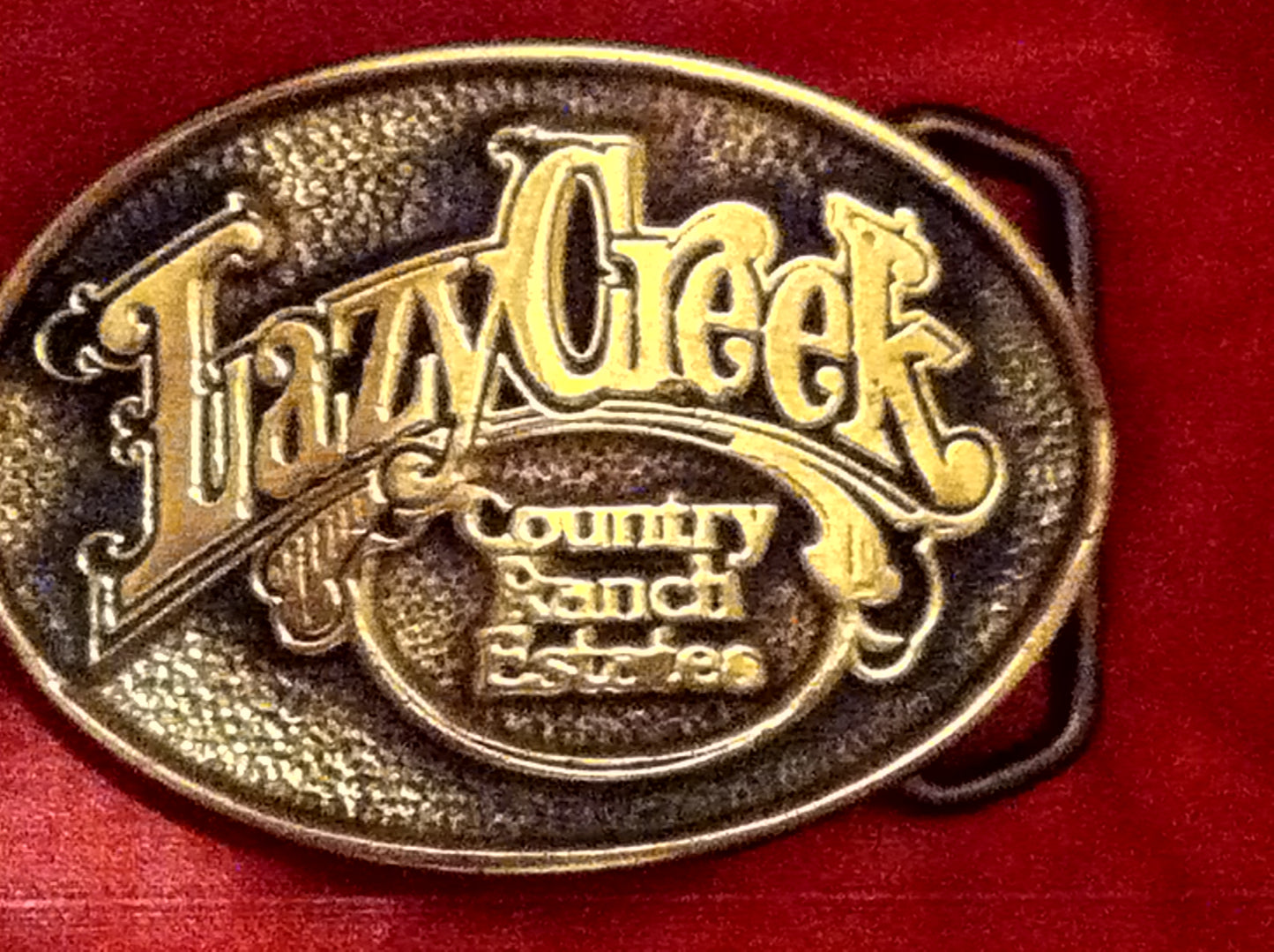 Lazy Creek Country Ranch Estates Solid Brass Vintage Belt Buckle Free shipping!