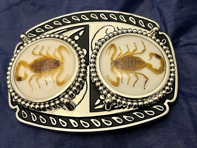 Real Scorpion Belt Buckle Solid, Great Quality (Silver tone)