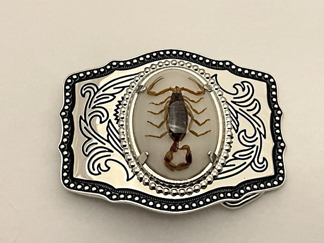 Real Scorpion Belt Buckle Solid, Great Quality (Silver tone) Single