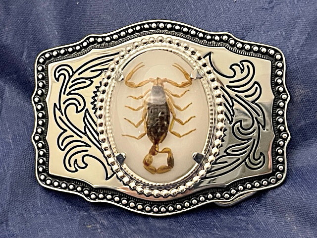 Real Scorpion Belt Buckle Solid, Great Quality (Silver tone) Single