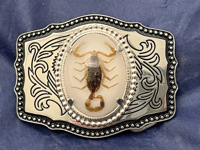 Real Scorpion Belt Buckle Solid, Great Quality (Silver tone) Single