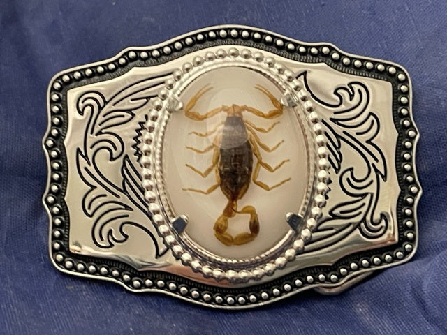 Real Scorpion Belt Buckle Solid, Great Quality (Silver tone) Single