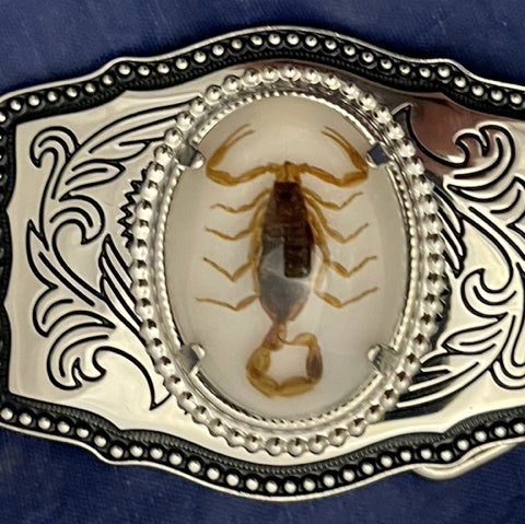 Real Scorpion Belt Buckle Solid, Great Quality (Silver tone) Single